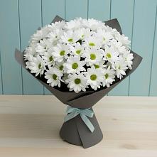 Букет цветов из:  Хризантемы в Бутурлино