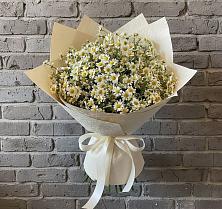 Букет цветов из:  Ромашки #REPLACE_PRED# Бутурлино