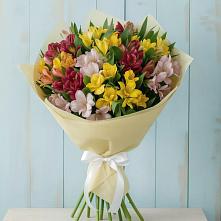 Букет цветов из:  Альстромерии в Бутурлино