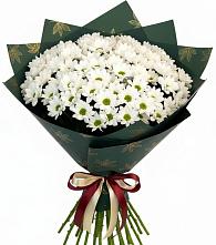 Букет цветов из:  Хризантемы #REPLACE_PRED# Бутурлино