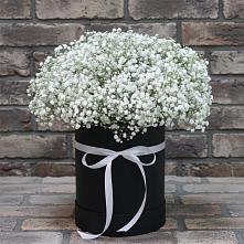 Цветочная композиция из Гипсофила в шляпной коробке #REPLACE_PRED# Бутурлино