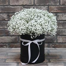 Цветочная композиция из Гипсофила в шляпной коробке в Бутурлино