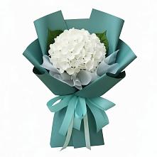 Букет цветов из:  Гортензия в Бутурлино